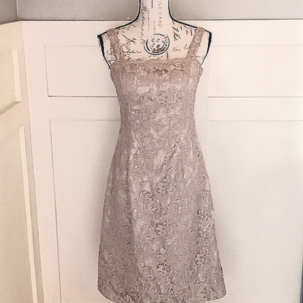Montage by Mon Cheri Champagne Beaded Silk Lace Formal Dress Sz 8